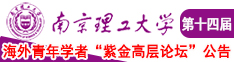 大鸡巴操逼视频免费看南京理工大学第十四届海外青年学者紫金论坛诚邀海内外英才！